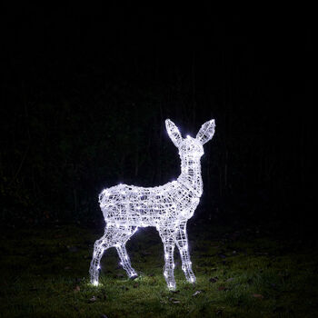Swinsty Fawn Dual LED Plug In Light Up Reindeer, 6 of 6