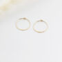 Gold Filled Hammered Hoop Earrings, thumbnail 1 of 6
