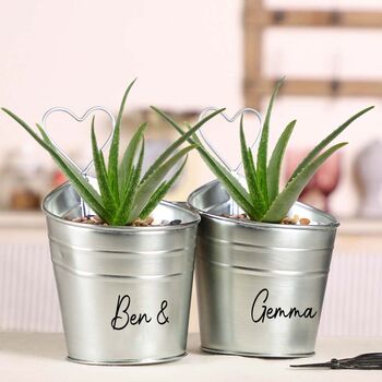 Personalised 10th Anniversary Plant Pot Bucket Gift, 3 of 6
