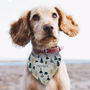 Personalised Christmas Tree Dog Bandana, thumbnail 1 of 3