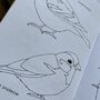 'Colouring Book Of Birds', thumbnail 6 of 9