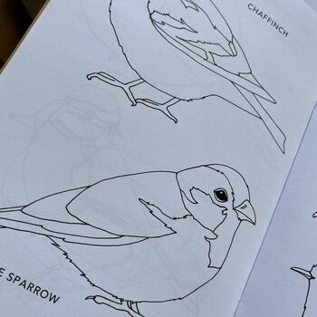 'Colouring Book Of Birds', 6 of 9
