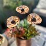 Set Of Three Mini Copper Poppy Garden Planter Stakes, thumbnail 1 of 7