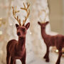 Pair Of Flocked Christmas Reindeer With Golden Antlers, thumbnail 6 of 8