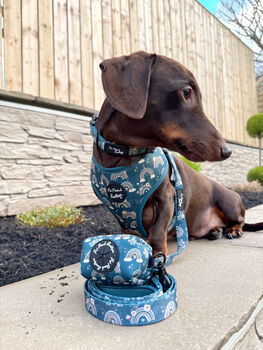 Rainbows In The Forest Dog Collar, 5 of 6