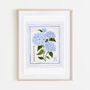 Hydrangea Art Print, thumbnail 2 of 7