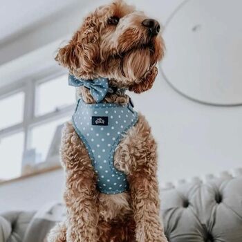 Dog Harness Set | Blue Polka Dot, 6 of 8
