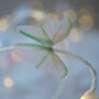 Butterfly Fairy Lights, thumbnail 6 of 7