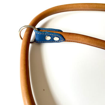 Blue Rolled Leather Slip Lead, 3 of 5