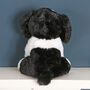 Eco Border Collie Soft Plush Toy Dog, thumbnail 2 of 6