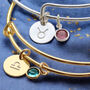 Zodiac Birthstone Bangle, thumbnail 4 of 11