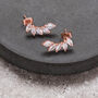 Rose Gold Colour Angel Wings Crystal Climber Earrings, thumbnail 1 of 2