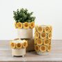 Ceramic 3D Sunflower Planter – Mother’s Day Gift, thumbnail 4 of 4