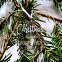 Personalised 1st Christmas Together Hanging Decoration, thumbnail 2 of 2