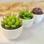 Succulent Candles In White Ceramic Pots, thumbnail 2 of 10