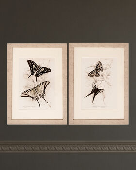 Framed Pair Of Vintage Butterfly Art Prints In Sand Frames, 10 of 10