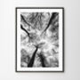 Black And White Trees Print, thumbnail 2 of 6