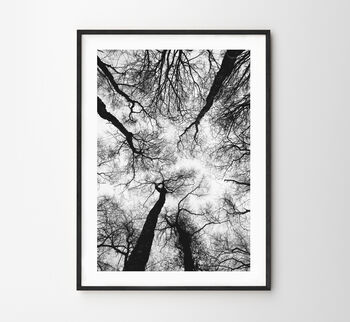 Black And White Trees Print, 2 of 6