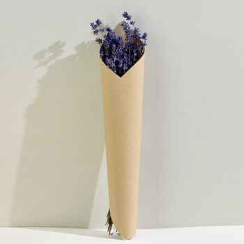 English Dried Lavender Flowers Letterbox Bunch, 2 of 7