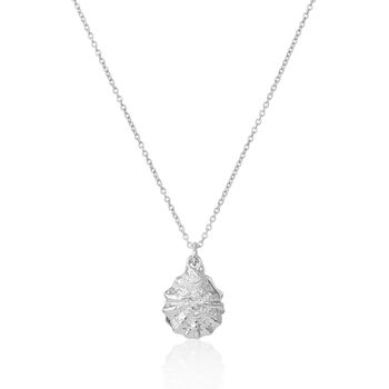 Gaia 18ct Gold Vermeil Oyster Shell And Pearl Necklace, 6 of 9