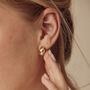 Gold Celestial Dome Studs, thumbnail 2 of 5