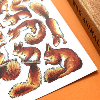 Red Squirrels Wildlife Watercolour Postcard, 5 of 10