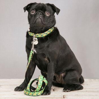 The Alderley Green Botanical Collar And Lead Set, 3 of 5