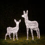 Swinsty Doe And Fawn Dual LED Plug In Light Up Reindeer, thumbnail 8 of 8