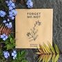 Cottage Garden Flower Design Kit, thumbnail 5 of 7