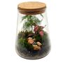 Diy Moss Terrarium Kit Glass Biodome With Live Plants, thumbnail 7 of 9