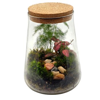 Diy Moss Terrarium Kit Glass Biodome With Live Plants, 7 of 9