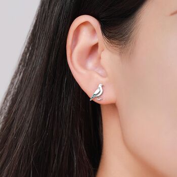 Sterling Silver Eurasian Collared Dove Earrings, 5 of 11