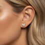 Women’s Small Butterfly Stud Earrings In 18k Gold Plated, thumbnail 1 of 4