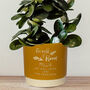 Personalised Get Well Soon Indoor Plant Pot, thumbnail 1 of 6
