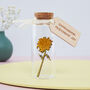 March Birth Flower Message Bottle Birthday Gift, thumbnail 6 of 12
