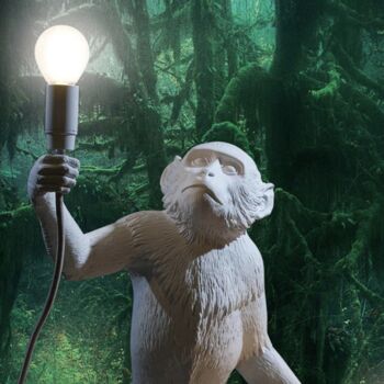 White Monkey Light, 4 of 7