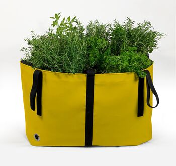 The Green Bag Reusable Planter, 5 of 5