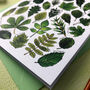 Tree Leaves Of Britain Art Blank Greeting Card, thumbnail 8 of 12