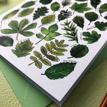 Tree Leaves Of Britain Art Blank Greeting Card, 8 of 12