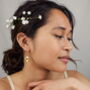 Champagne Ivory Crystal Teardrop Earrings, thumbnail 2 of 5