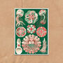 Red And Green Jellyfish Vintage Style Art Print, thumbnail 2 of 4