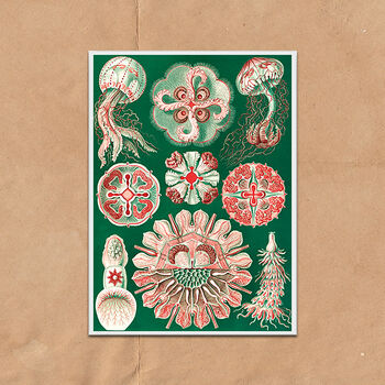 Red And Green Jellyfish Vintage Style Art Print, 2 of 4
