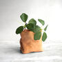 Personalised Mini Leather Paper Bag Planter With Custom Message And Artificial Round Leaf Vine, thumbnail 6 of 7