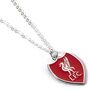 Liverpool Football Club Shield Necklace, thumbnail 1 of 3