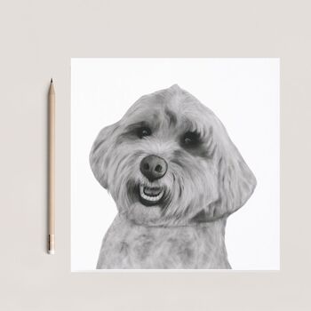 Adorable Cockerpoo Dog Greeting Card, 6 of 6