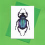 Purple Beetle Illustrated Blank Greeting Card, thumbnail 3 of 10