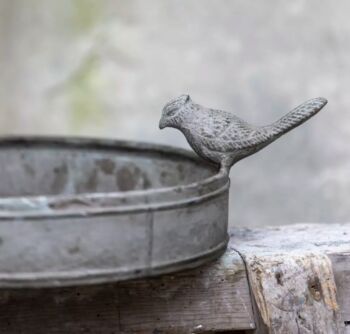 Metal Bird Bath / Feeder, 2 of 2