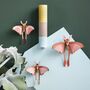 Set Of Three Comet Butterflies 3D Wall Decorations, thumbnail 1 of 4