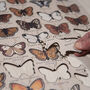 Butterflies Of The British Isles Wooden Jigsaw Puzzle, thumbnail 4 of 7
