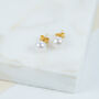 Seville White Pearl And Gold Plated Earrings, thumbnail 1 of 4